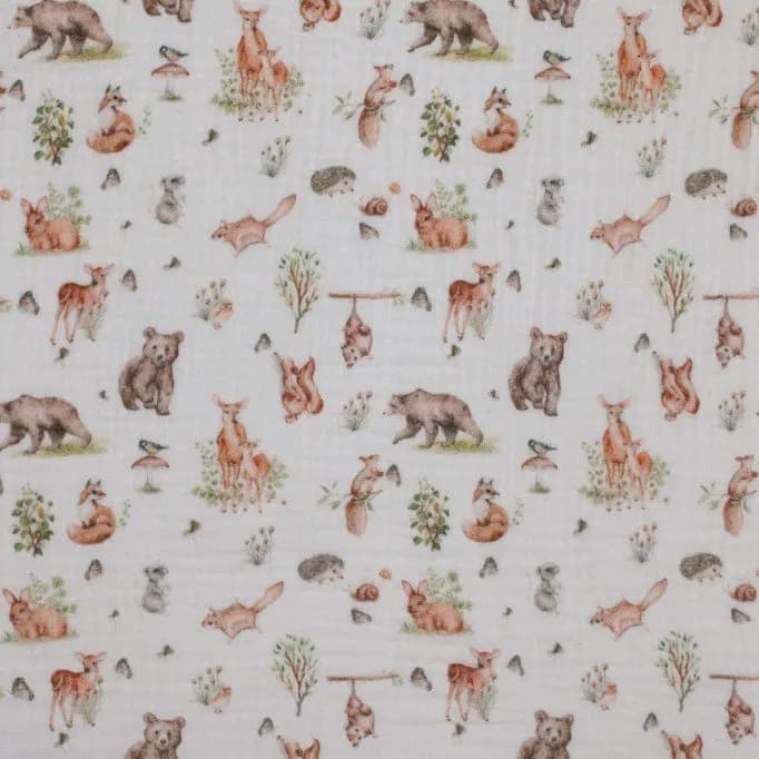Natuur Dieren
